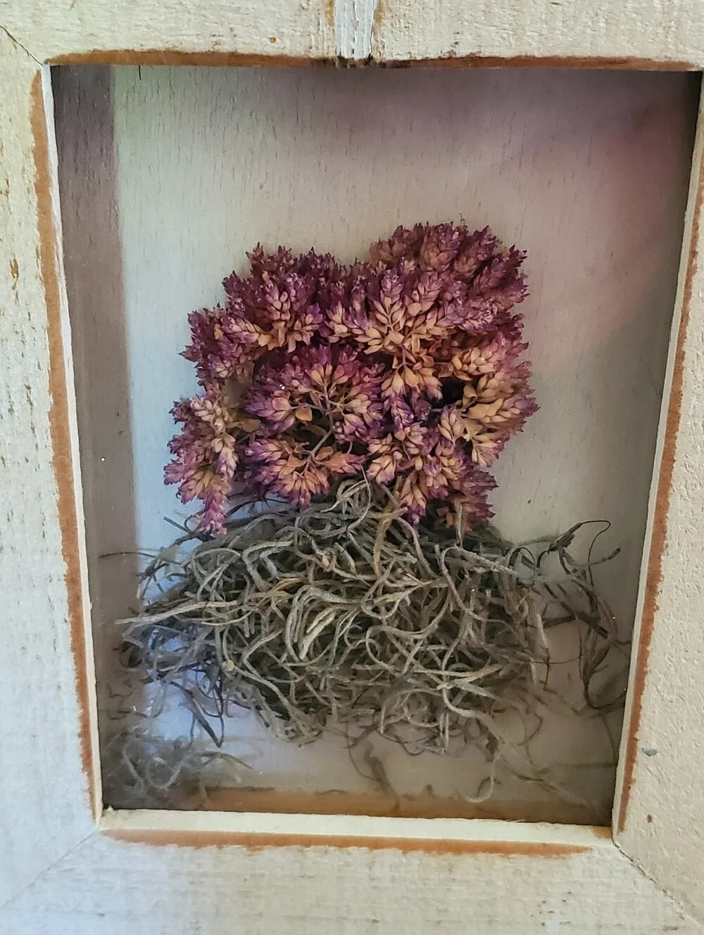 Rustic Framed Dried Pink Flower Shadow Box Botanical Wall Art 8x10